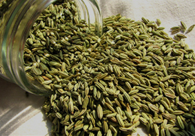 Fennel Seeds